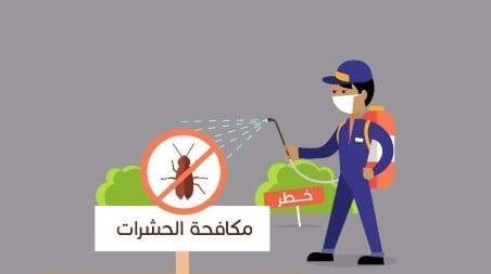 مكافحة حشرات بالمنصورية الكويت